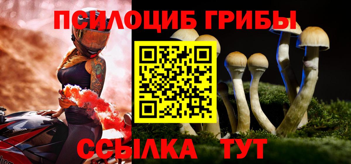 Псилоцибиновые грибы прущие грибы Белгород